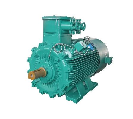Cooling IC411 Electric Motor IP55 3 Phase Motor High Low Voltage