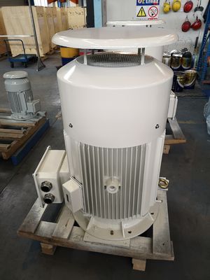 OEM Low Voltage Squirrel Cage Motor 380v IE4 Asynchronous Motor